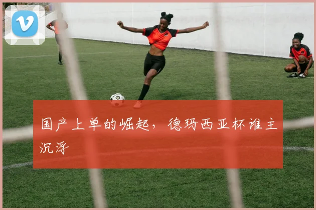 国产上单的崛起，德玛西亚杯谁主沉浮