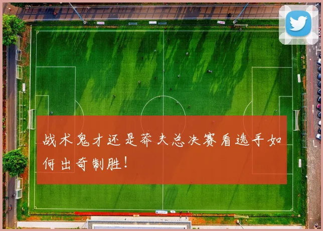 战术鬼才还是莽夫总决赛看选手如何出奇制胜!